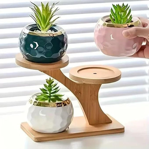 2-Tier Bamboo Plant Stand, Small Indoor Plant Holder for Desk, Multi Layer Flower Pot Display Shelf for Succulents, Cactus & Small Plants, Natural Wood Decorative Planter Rack