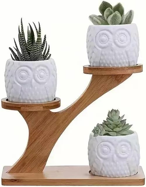 2-Tier Bamboo Plant Stand, Small Indoor Plant Holder for Desk, Multi Layer Flower Pot Display Shelf for Succulents, Cactus & Small Plants, Natural Wood Decorative Planter Rack