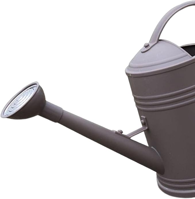 Baoblaze Watering Can Indoor Plants with Detachable Sprinkle Head 1.8L Lightweight er Watering Can Long Spout Watering Can for Plants Bonsai, Brown