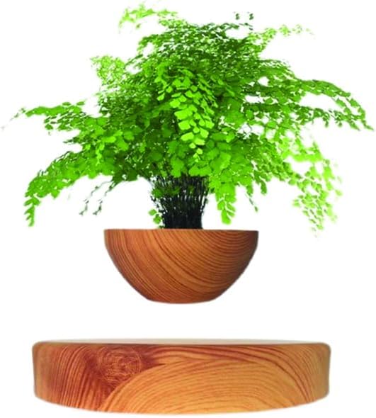 Planting Flower pots,Levitating Plant Pot,Magnetic levitation,Floating Plant Pot,Hanging Flower pots,Suspendded Flowerpot,Hanging planters for Indoor Plants