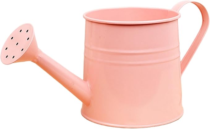 1.6L Watering Can for Indoor Outdoor Plants, Modern Small Watering Cans, Metal Flower Watering Can, Long Spout Watering Can-Colorful Plant Waterer for Indoor Bonsai Plants Garden Flowers (Pink)