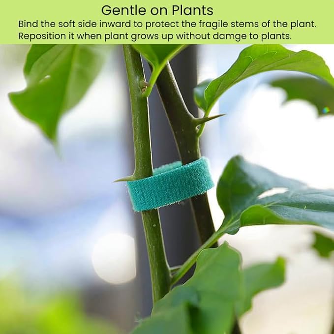 Reusable Plant Ties Hook and Loop Soft Garden Tape Roll Gentle Plant Supporting Ties Double Sided Self Gripping Adjustable Garden Staking Straps for Climbing Plants and Vines (1/2 Inch x 82 ft, Green)
