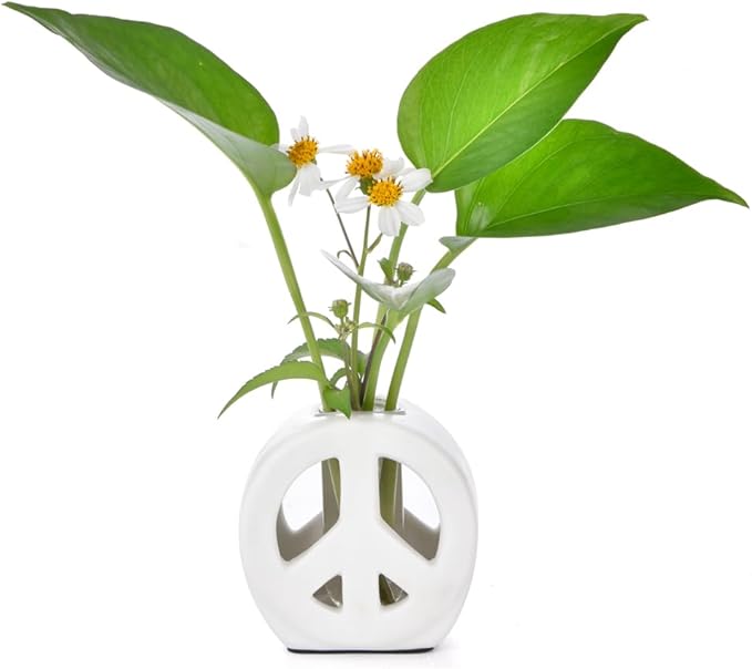 Propagation Vase, 2-in-1 Small Flower Vase and Aromatherapy Diffuser, Handcrafted Ceramic with Clear Glass Root Observation Tubes, Modern Desktop Centerpiece for Plant Lovers