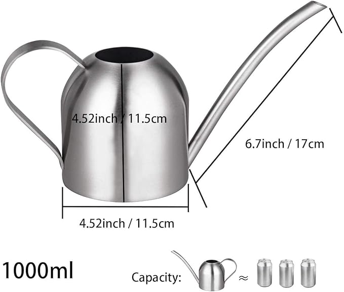 IMEEA Indoor Watering Can for House Plants 33oz/1L Brushed Stainless Steel Watering Can with Long Spout for Succulents, Bonsai