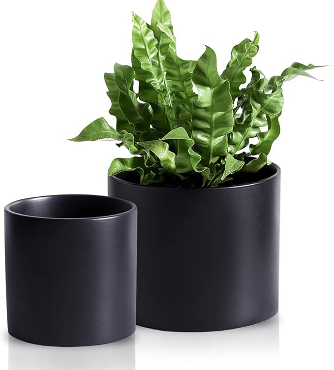 Nihow Flower Pot - 5 & 7 Inch Ceramic Planter Pots for Indoor Plants - Herbs/Snake/Succulent/Orchid Cylinder Plant Pot - Matte Black (Set of 2) - Plants not Included
