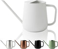 Watering Can for Indoor & Outdoor Plants, 35 oz/1000ml Watering Can with Metal Handle, Stainless Steel Garden Long Spout Watering Pot for Indoor House Plants Bonsai Flower Decorative