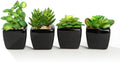 Modern Mini Artificial Succulent Plants Potted in Cube-Shape Black Ceramic Pots for Home Decor, Set of 4