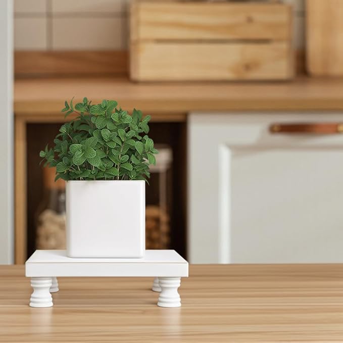 2 Pcs Wood Plant Stand Wooden Plant Stool Round Riser Display Stand Flower Pot Holder Low Plant Pot Flower Pedestal for Indoor Outdoor (White, 8.5"x5.7")