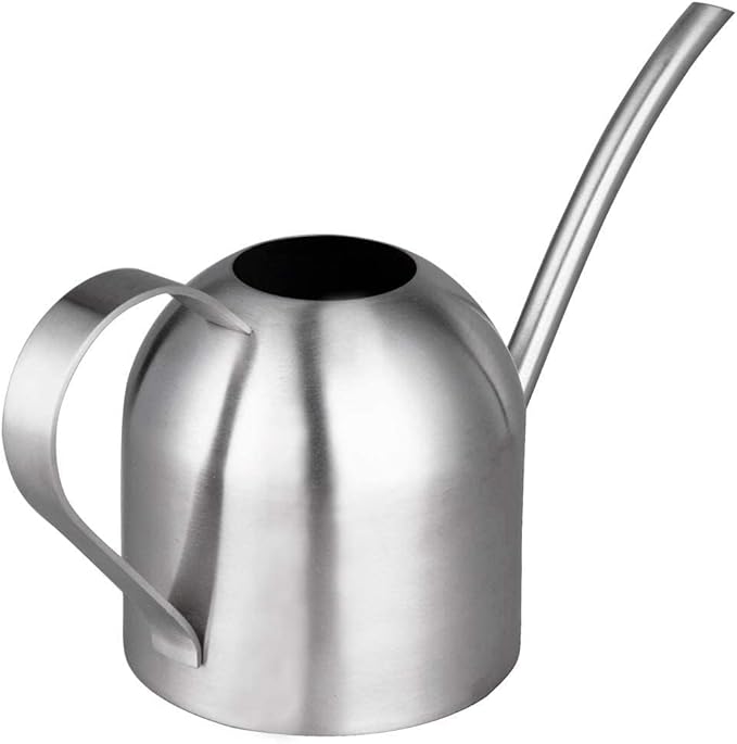 IMEEA Indoor Watering Can for House Plants 33oz/1L Brushed Stainless Steel Watering Can with Long Spout for Succulents, Bonsai