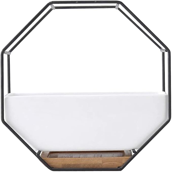 Modern Wall Planter Metal Wire Octagon Design Wall-Mounted Shelves with Ceramic Flower Pot Geometric Hexagon Wall Decor (Color : Black)