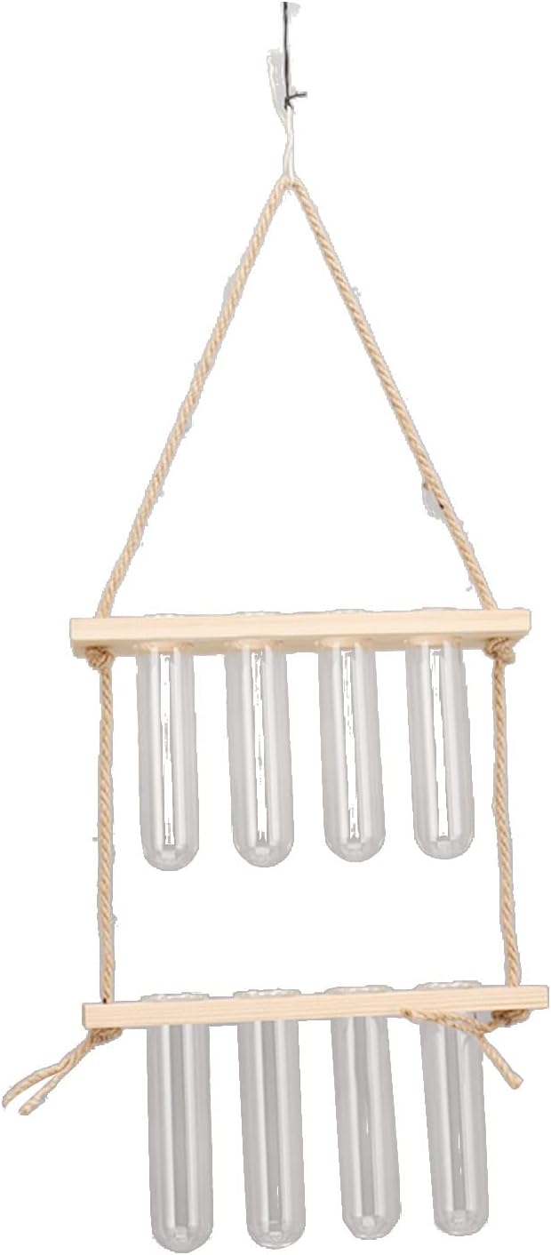 Yunseity Wall Mounted Plant Terrarium, Widely Used Plant Propagation Station, Space Saving, 8 Holes, 2 Tier Design, Test Tube Style, Easy Assembly for Family (Original Wood Color)