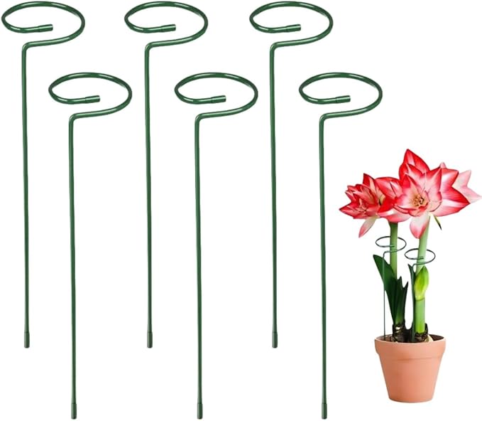 6 Pack Plant Support Stakes, 10 Inch Tall Metal Plant Stakes, Garden Plant Support Stake for Outdoor Indoor Plants, Flower Stake for Lilies, Dahlias, Sunflowers, Tomato, Amaryllis, Peony, Orchid