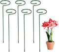 6 Pack Plant Support Stakes, 14 Inch Tall Metal Plant Stakes, Garden Plant Support Stake for Outdoor Indoor Plants, Flower Stake for Lilies, Dahlias, Sunflowers, Tomato, Amaryllis, Peony, Orchid