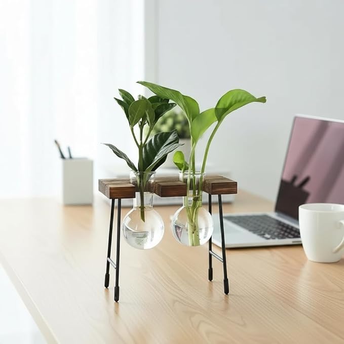 Hydroponic Plant Stand with Glass Vase, Modern Industrial Wooden Base Metal Frame, Visible Root Growth, Nordic Minimalist Desktop Planter for Home Office, Great Gift for Plant Lovers
