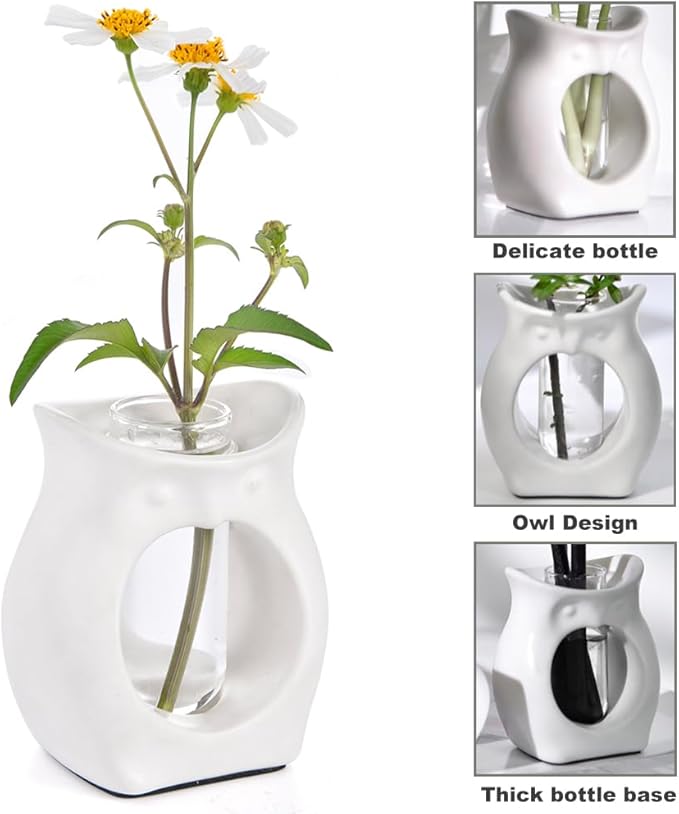 2-in-1 Ceramic Plant Propagation Station with Glass Jars, Owl Planter & Air Plant Holder, Avocado Seed Starter Vase for Indoor Plants, Home Office Decor Gift for Plant Lovers