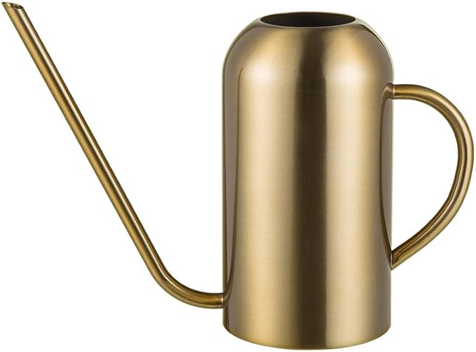 Stainless Stee Watering Can for Indoor Plants and Garden, Watering Pot 40oz/3gallon, Gold