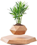 Magnetic Levitating Planter with Geometric Black Design for Home and Office Decorative Display (Wood)