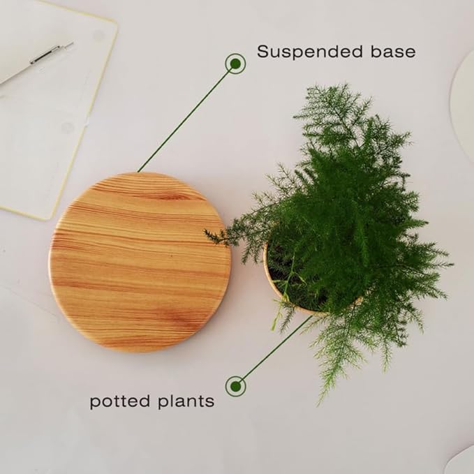 Magnetic Levitating Plant Pot | 360° Rotating Floating Bonsai Planter with Natural Wood Base, Cool Tech Decor for Home Office, Unique Housewarming for Plant Lovers