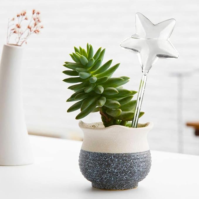 Yahpetes Automatic Watering Globe Plant Watering Globes Plastic Watering Bulbs Waterer Flower Water Drip Irrigationdevice Self Watering System (Bird+Star)