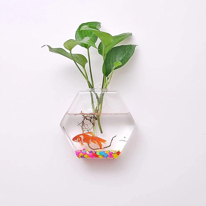 4 Pack Hanging Wall Mounted Glass Fish Bowl, Hexagonal Clear Betta Tank Fish Bubble Flower Pot Vase, Wall Hanging Terrarium Plant Propagation Stations for Hydroponics Plants Home Decor