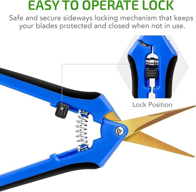 iPower 6.5 Inch Garden Hand Pruner Shears with Straight Stainless Steel Scissors, for Hydroponic Trimming Herb/Flowers/Vegetables/Plants, Blue, 1-Pack