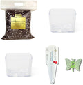 Cactus & Succulent Starter Kit