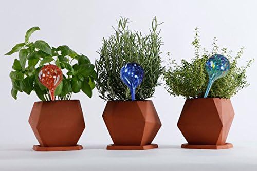 5 STAR SUPER DEALS Aqua Plant Watering Globes - Automatic Watering Ball Bulbs - Self Watering Plant Glass Bulbs System (16, Small)