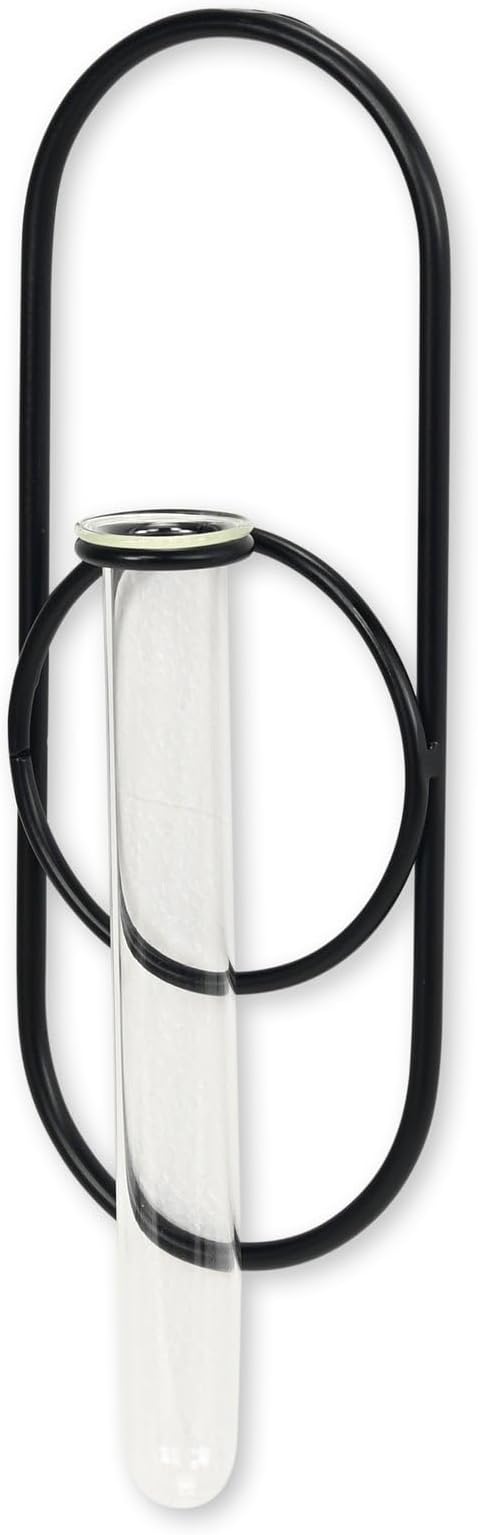 Sephra 10.25" Oval Wall Hanging Planter - Indoor Plant Propagation Station and Flower Vase - Modern Black Finish for Living Room or Home Office Decor