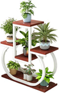 4 Tier Plant Stand Indoor, Multi Layered Iron Flower Pot Racks for Plants Multiple, Large Metal Tall Curved Oval Plant Shelf, Multiple Organizer for Garden Patio Lawn Balcony Office