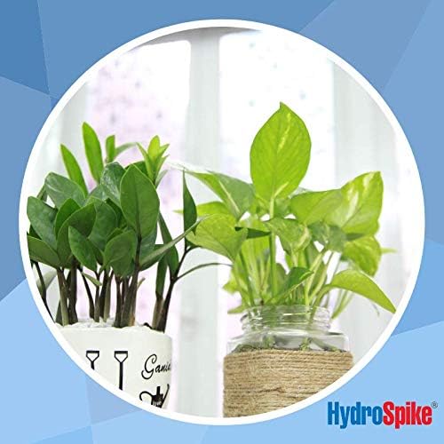 HS-300 (3-Pack) Worry-Free Automatic Plant Watering Devices Kit. Self Auto Waterer Spikes, Bulbs, Stakes Irrigation System for Indoor House Plants, Vacation. No Glass Globe Bottle, Jug, Can