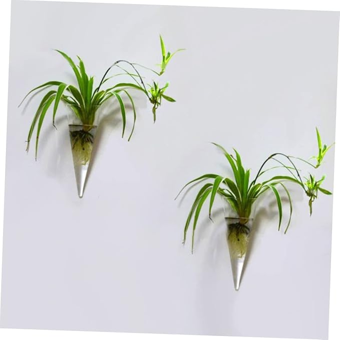 Operitacx Wall Hanging Glass Flower Pots Vase Fish Tank Decorations Plants Crystals Decor Plant Hangers Indoor Wall Propagation Station Air Circular Cone Glass Plant Flower Pot