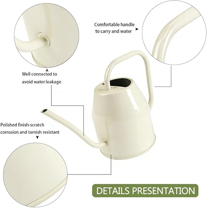 35 oz/1000 ml Metal Indoor Small Watering Can with Long Spout for House Plants Decorative, 12 oz/360 ml Glass Plant Mister Spray Bottle for Bonsai Garden Flowers