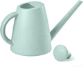 Indoor and Outdoor Watering Can - Long Spout -1/2 Gallon (64oz) - Light Green