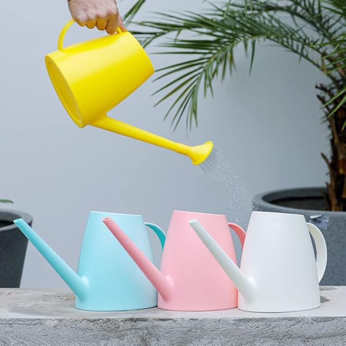 1/2 Gallon Watering Can Indoor Plants with Removable Sprinkler Head and Handle, Long Spout Plastic Watering Can for House Plants Bonsai Flower Garden Indoor