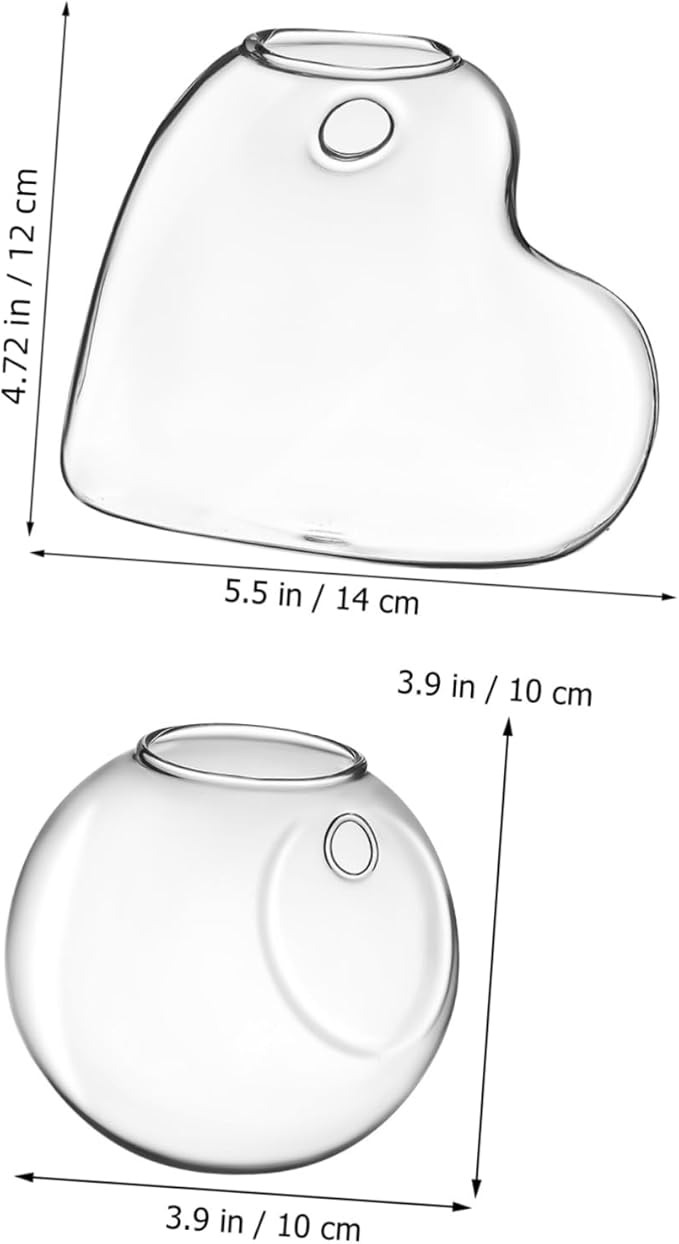 Sosoport 2 Pcs Borosilicate Glass Hanging Planter Vase for Indoor Plants and Fish Bowls Wall Mounted Propagation Station with Easy Installation Hardware Clear Glass Terrarium Pot for Home