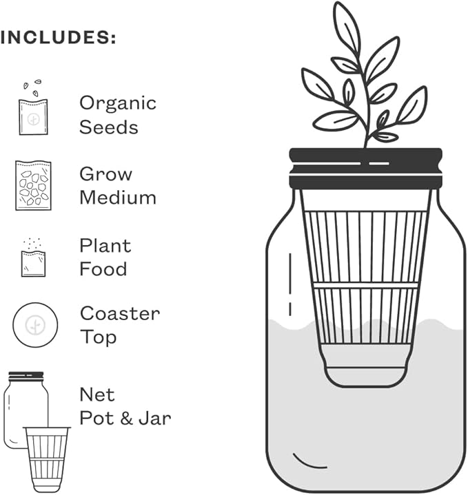 Modern Sprout Mason Garden Jar - Self-Watering Hydroponics Growing System Kit w/Organic Herb Seeds - Sprouting Jar Planter for Indoor Herb Garden - Seed Starter Kit - Decor & Gifting - Basil+Rosemary