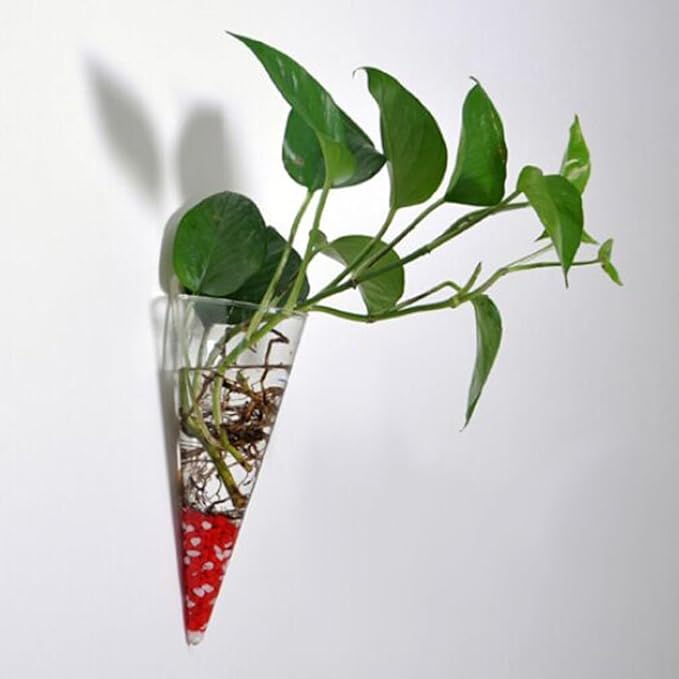 Operitacx 2Pcs Glass Wall Hanging Vases Hydroponic Cone for Succulent Plants Indoor Home Kitchen Wall Mounted Garden Decor
