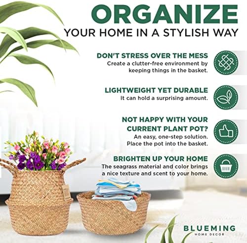 Plant Baskets – Set of 2, Twin Pack Large Hand Woven Seagrass Rattan Belly Planter with Handles for Plant Pots, Home Decor, Organizer, Laundry (Original, 12 Inch x 10 Inch)