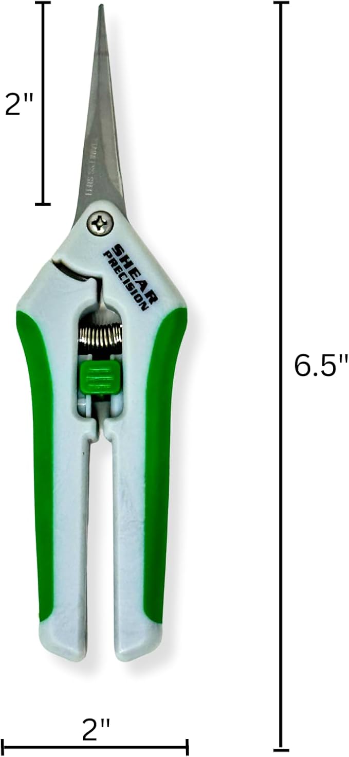 Generic Shear Precision 6.5 Inch Gardening Scissors Hand Pruner Pruning Shear with STRAIGHT Stainless Steel Blades 1-Pack