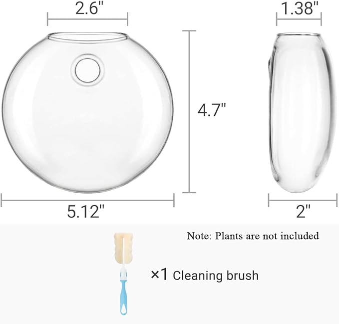 Mkono Wall Hanging Glass Terrariums Planter Oblate Flower Vase for Hydroponics Plants, Bathroom, Home Office Living Room Decor, Set of 6(Plants not Included)