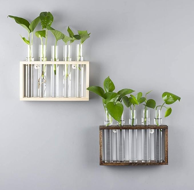 Wall Mounted Hanging Glass Test Tube Planter Propagation Station Glass Vase Rack with Wood Stand, Plant Terrarium Holder for Hydroponics Succulent Air Bamboo Plants with Test Tube