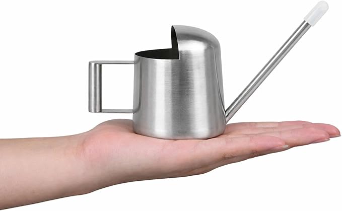 IMEEA Tiny Watering Can for Indoor Plants Bonsai Tree Stainless Steel Small Watering Can Succulents, 11oz/300ml
