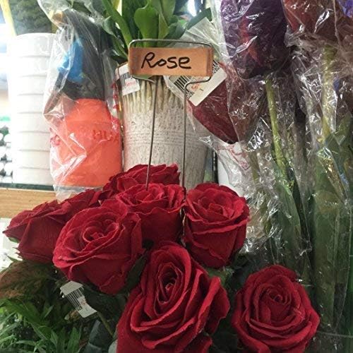 Pack of 25pcs Metal Plant Labels Garden Markers Reusable Nursery Stakes Tags Name Plate for Greenhouse Flower, Herbs, Vegetables, Seedlings, Shrubs (L(10.04x2.56x0.08inch), Copper)