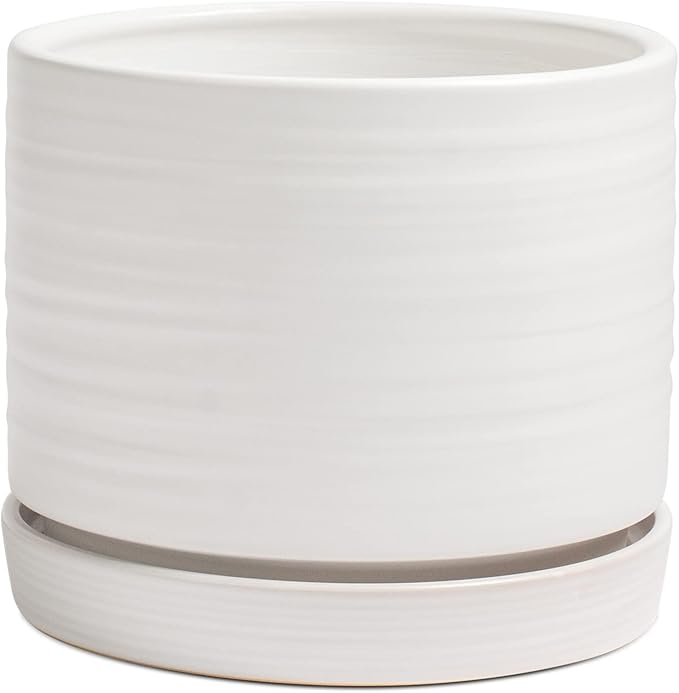 HERDUK 8 Inch Pots for Plants, Ceramic Planter Pot with Drainage Hole & Saucer, Indoor/Outdoor Cylinder Round Planter Pot, Matte White