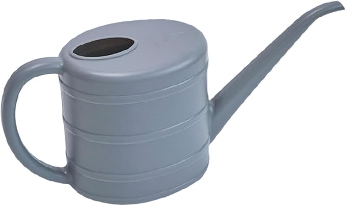 MYCENSE Watering Can Ergonomic Handle Easy to Use 2L Long Spout Water Can Watering Bucket for Flowers Kids Adults Yard Indoor Plants, Gray