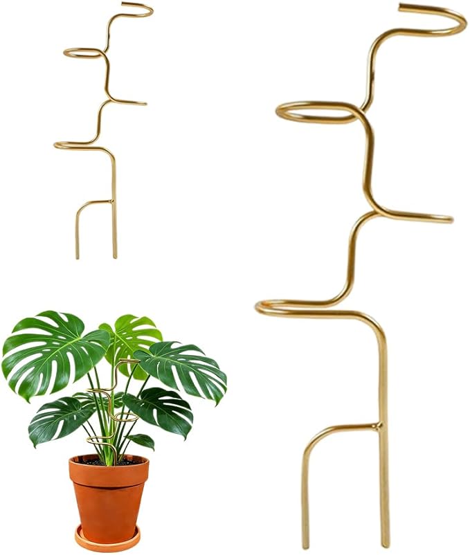 Plant Stakes, 2026 New Plant Support Stakes for Indoor Plants, Potted Stem Climbing Holders, Plant Sticks Support Tall for Indoor Monstera Tomato Orchid Potted Plants Flower (Gold 1PC)