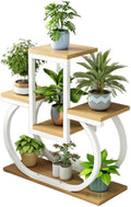 4 Tier Plant Stand Indoor, Multi Layered Iron Flower Pot Racks for Plants Multiple, Large Metal Tall Curved Oval Plant Shelf, Multiple Organizer for Garden Patio Lawn Balcony Office