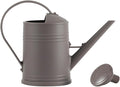 0.5 Gallon Watering Can Outdoor,Plastic Long Spout Watering Can with Detachable Sprinkler Head and Handles,Small Watering Can for Indoor Plants House Office Garden Flower Succulent Bonsai