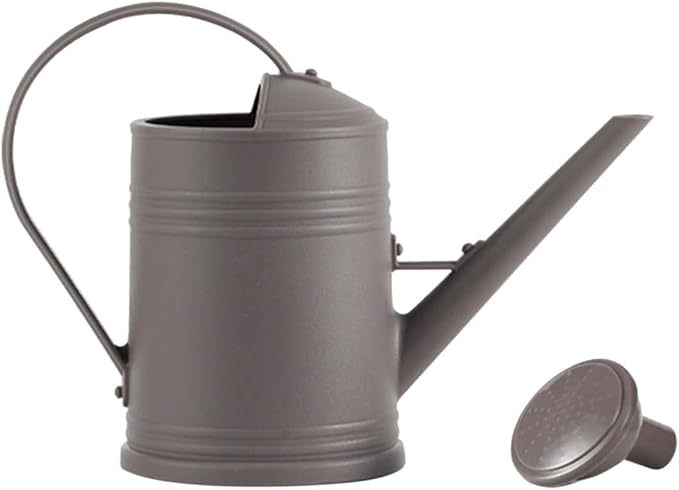 0.5 Gallon Plant Watering Can,Plastic Long Spout Watering Can with Detachable Sprinkler Head and Handles,Small Watering Can for House Succulent Bonsai Garden Flower Office Indoor Plants