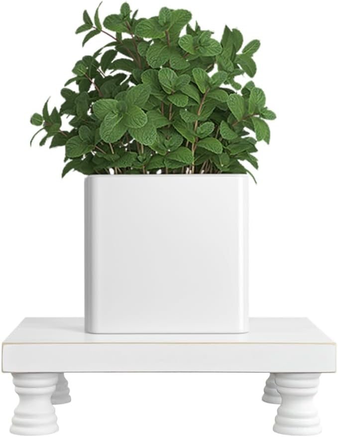 2 Pcs Wood Plant Stand Wooden Plant Stool Round Riser Display Stand Flower Pot Holder Low Plant Pot Flower Pedestal for Indoor Outdoor (White, 8.5"x5.7")
